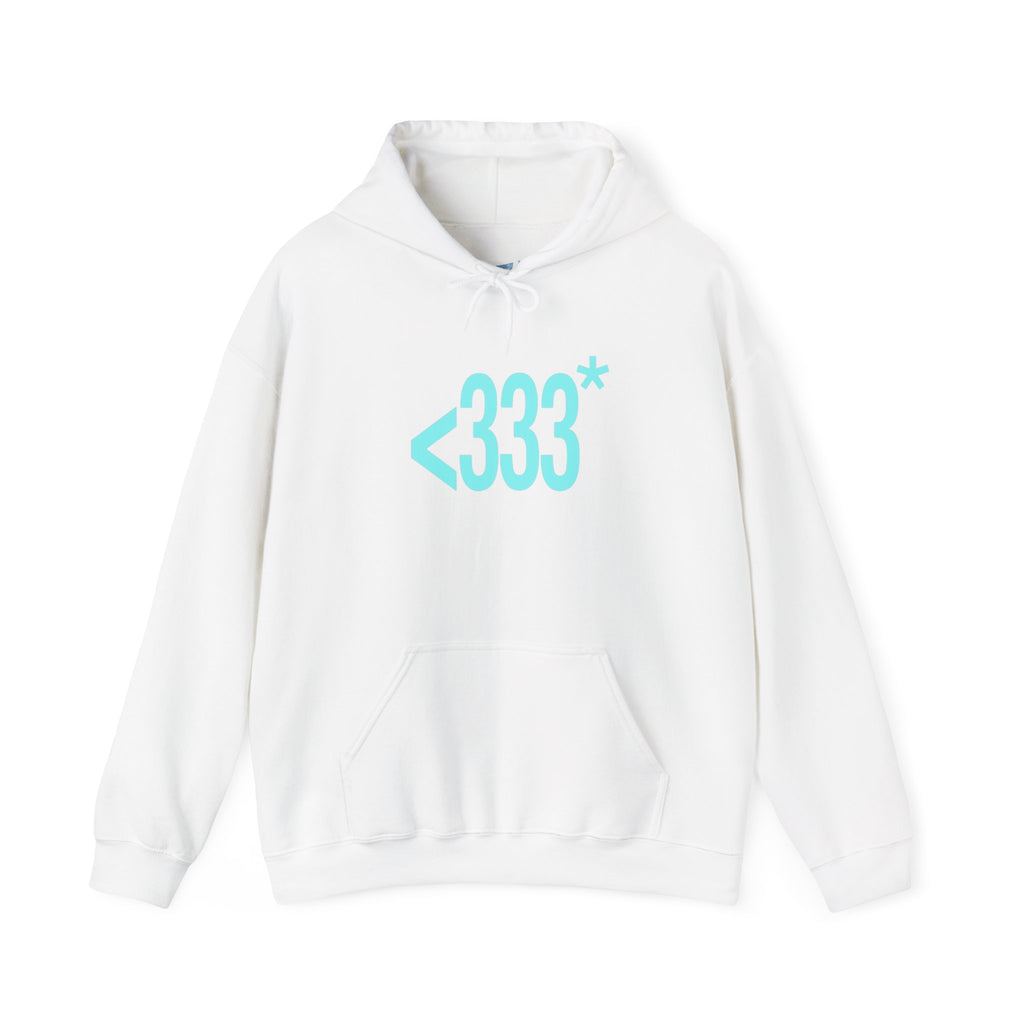 since 2009 hoodie