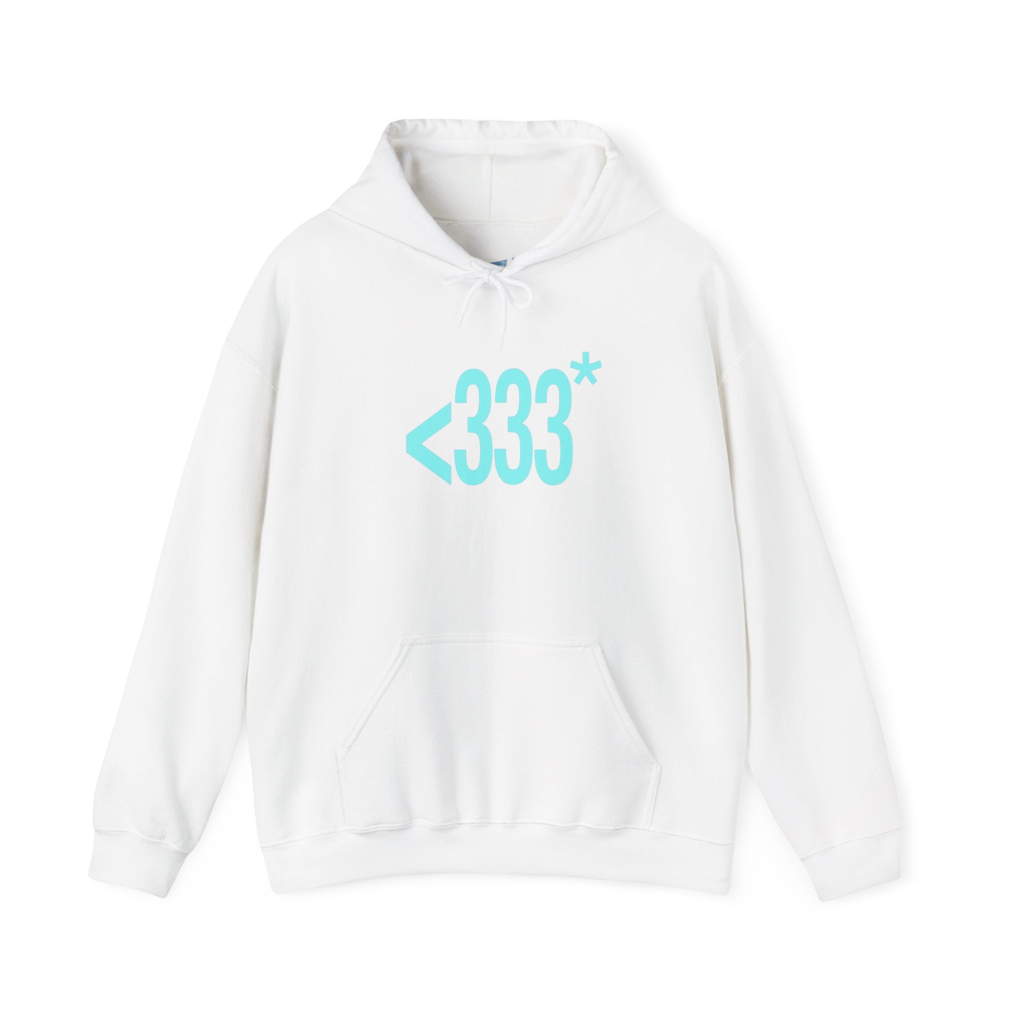 since 2009 hoodie