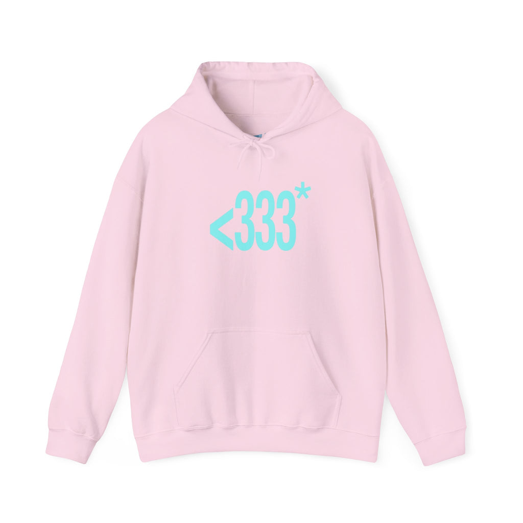 since 2009 hoodie
